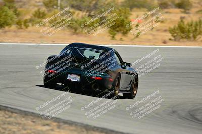 media/Jun-01-2025-VIP Trackdays (Sun) [[b20349723e]]/C Group/Session 2 (Turns 7 and 8)/